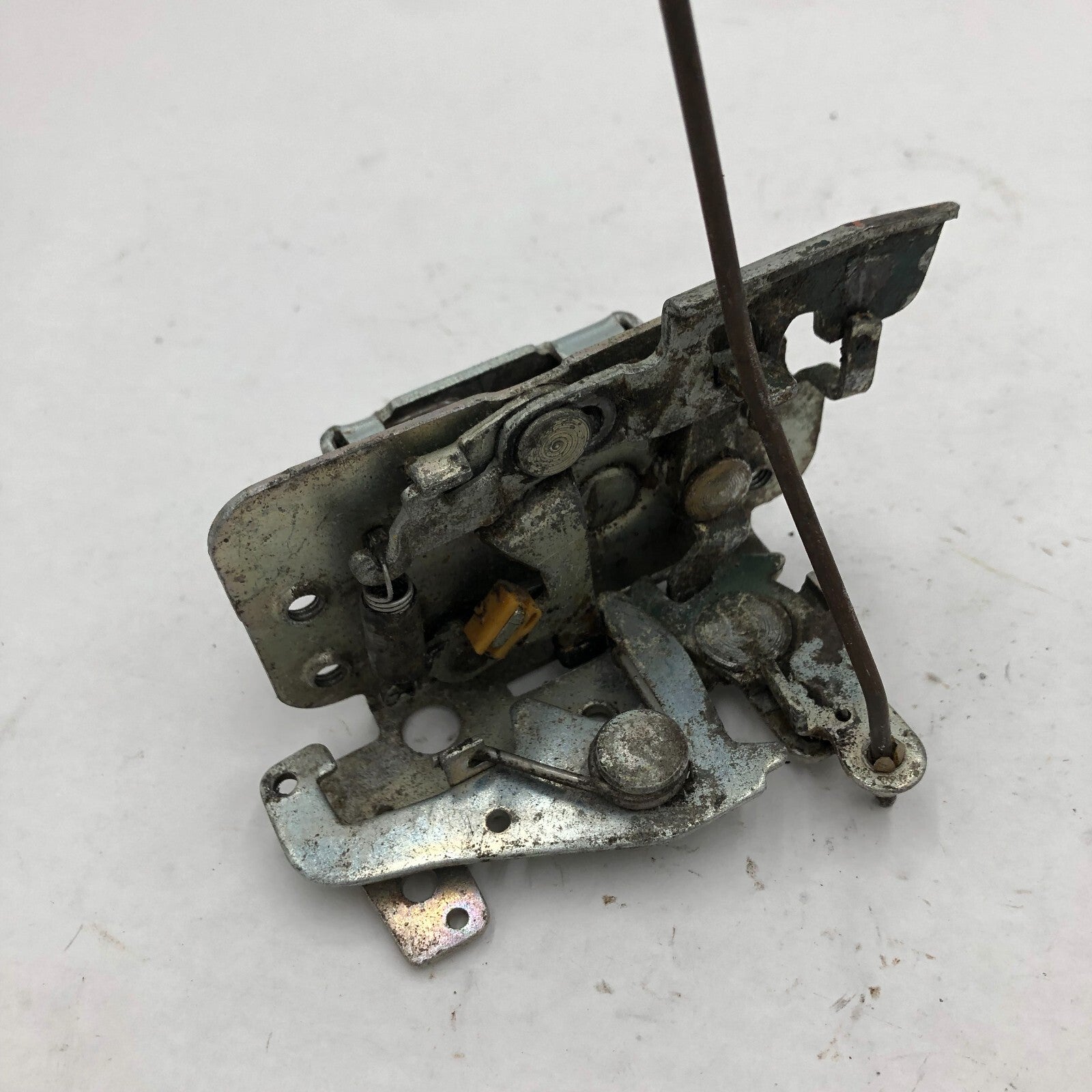 Image #3