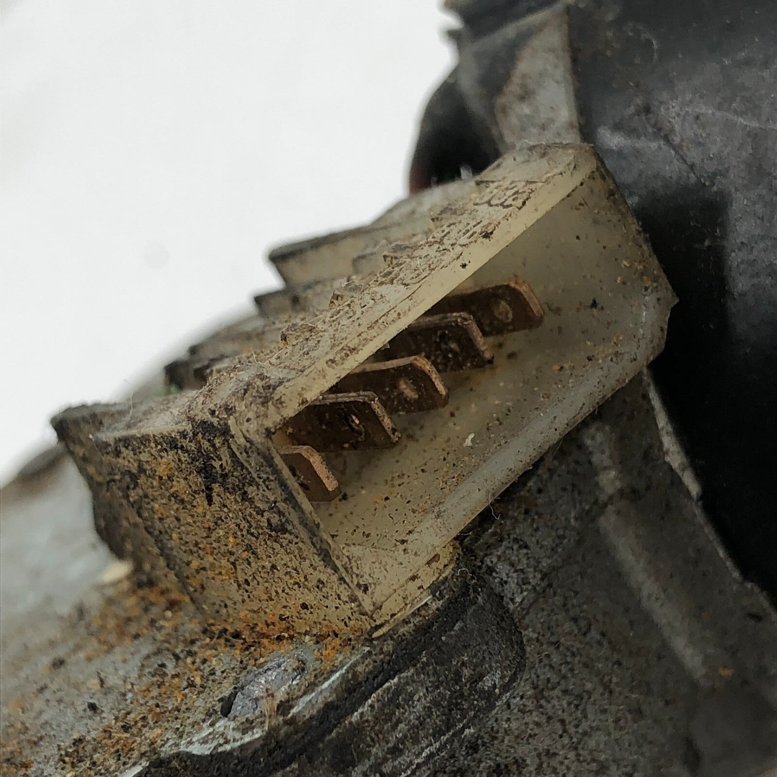 Image #7