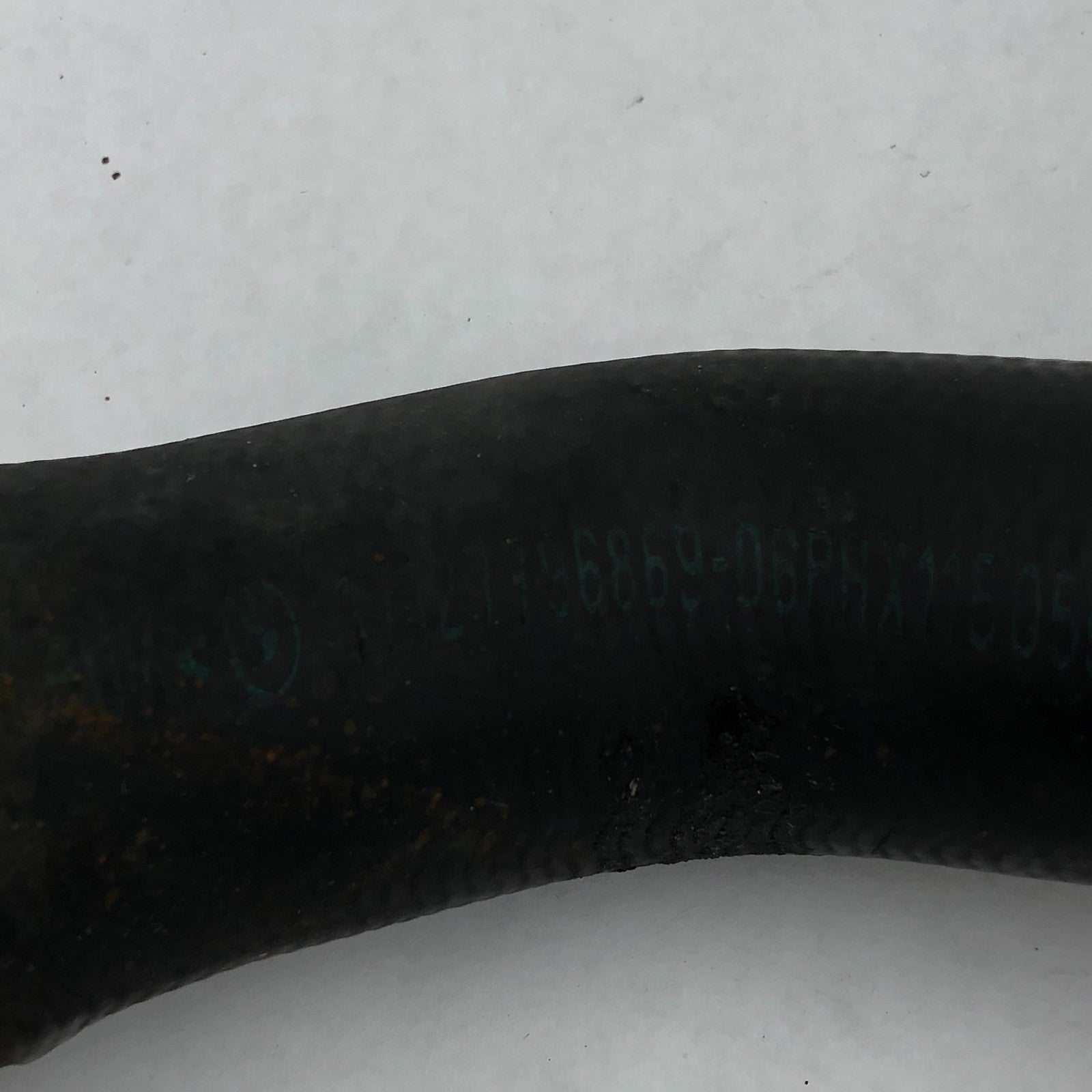 Image #8