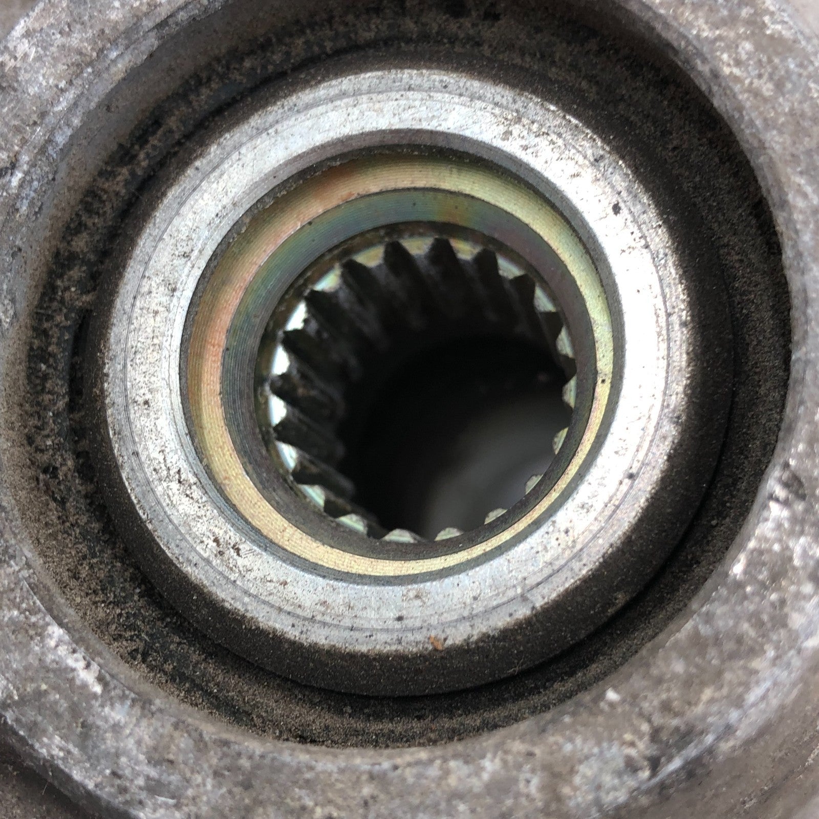 Image #4