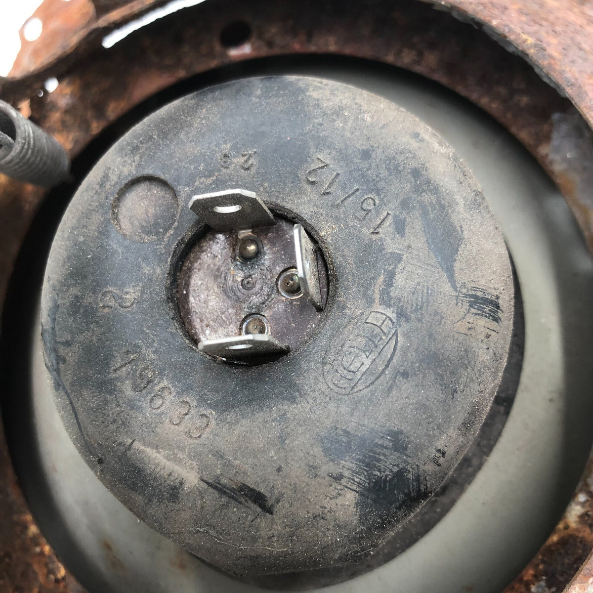 Image #12